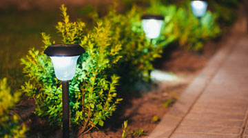 Landscape Lighting